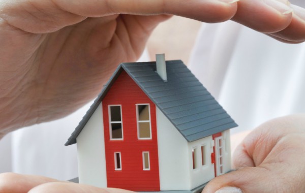 Step 7: INSURE Yourself and Your Property